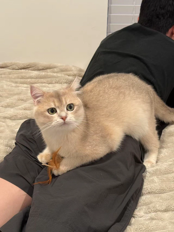 mino_on_my_back.jpg
