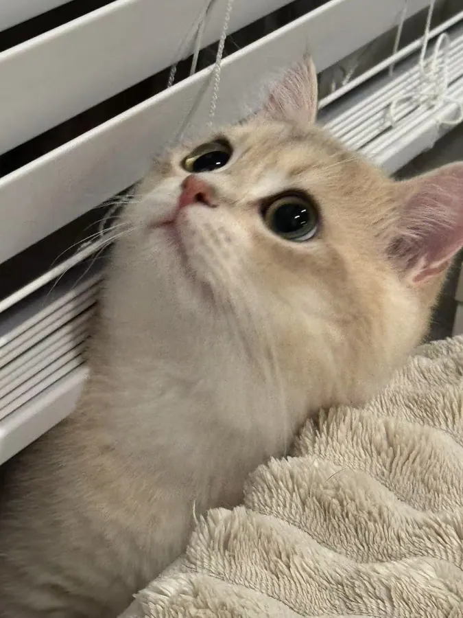 Mino exploring