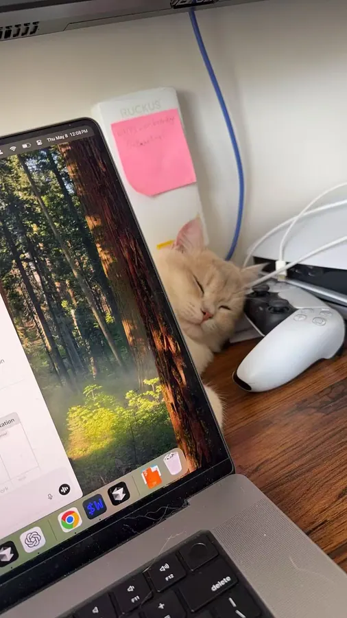 Mino sleeping