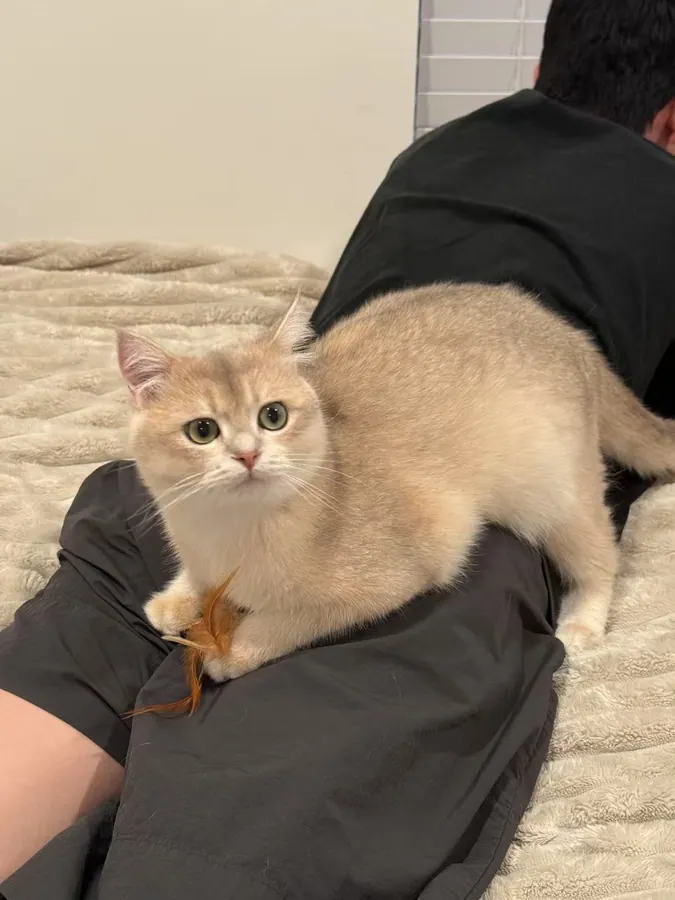 Mino resting on my back