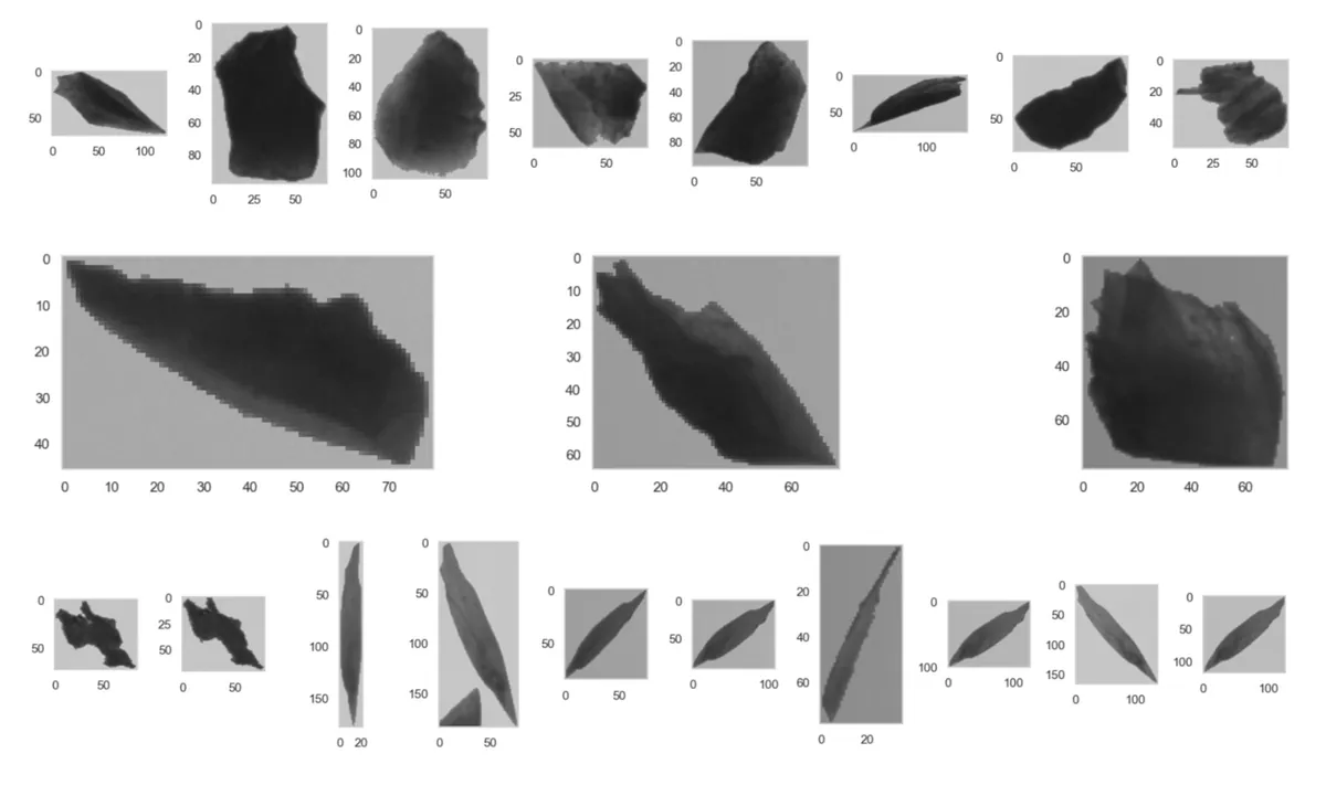Sample particle images used by the model